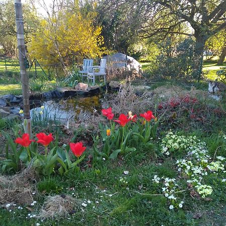 Dinant La Bergeronnette Avec La Chaleur Du Feu De Bois Et Le Jardin Villa Kamer foto
