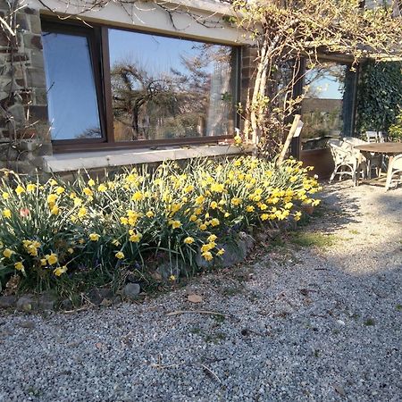 Dinant La Bergeronnette Avec La Chaleur Du Feu De Bois Et Le Jardin Villa Kamer foto