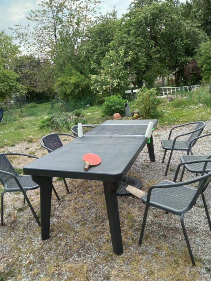 Dinant La Bergeronnette Avec La Chaleur Du Feu De Bois Et Le Jardin Villa Buitenkant foto