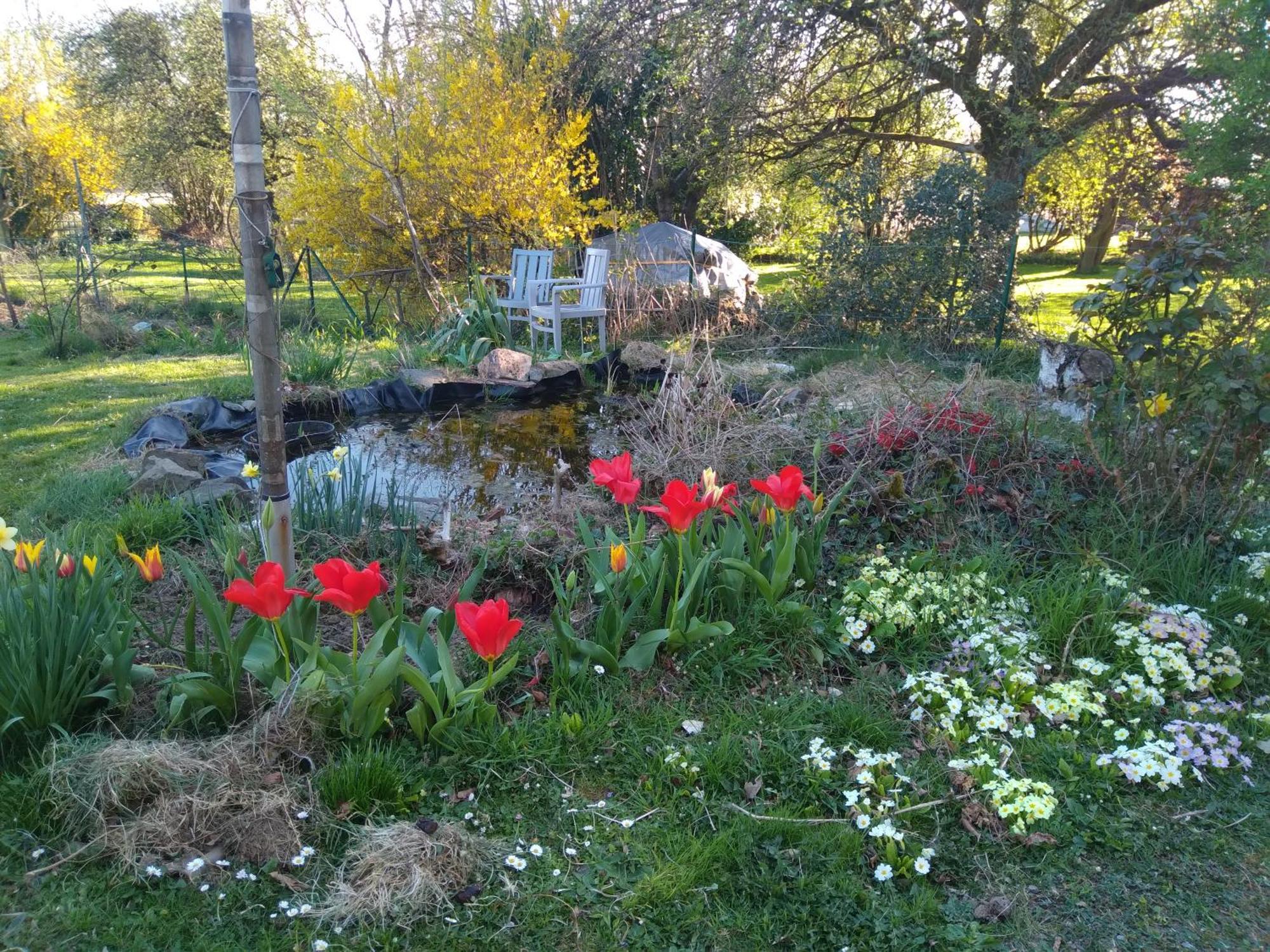 Dinant La Bergeronnette Avec La Chaleur Du Feu De Bois Et Le Jardin Villa Kamer foto
