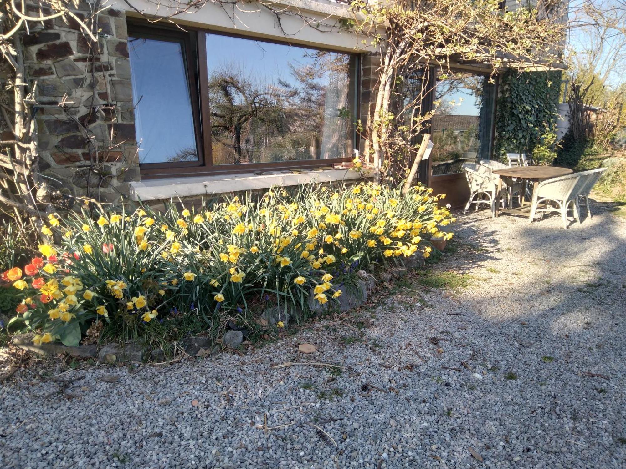 Dinant La Bergeronnette Avec La Chaleur Du Feu De Bois Et Le Jardin Villa Kamer foto