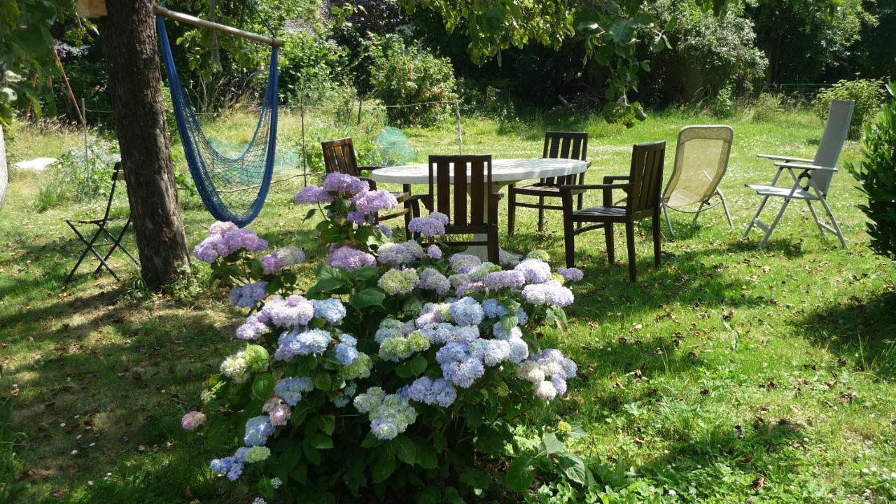 Dinant La Bergeronnette Avec La Chaleur Du Feu De Bois Et Le Jardin Villa Buitenkant foto
